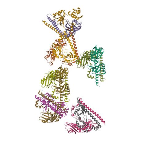 Gene Q15233 Protein NONO Overview CanSAR Ai