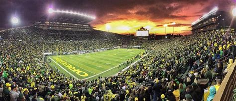 Pin By Leslie Rene On Love My Ducks Soccer Field Oregon Ducks