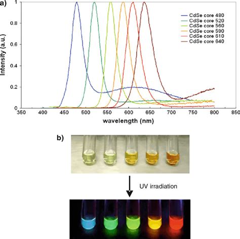 A Emission Spectra Of Cdse Quantum Dots With Different Sizes Source