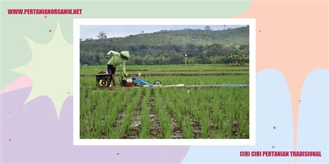 Ciri Ciri Pertanian Tradisional Sebuah Gambaran Lengkap Pertanian