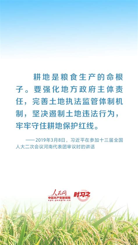 全方位夯实粮食安全根基 习近平强调切实加强耕地保护北京日报网