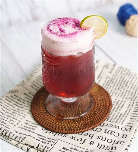 10 Refreshing Diy Ribena Drinks To Enjoy At Home Johor Now