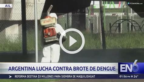 Brote histórico de dengue suma varios fallecidos en Argentina