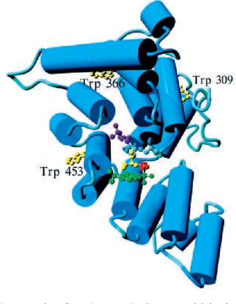 Figure From Fluorescence Analysis Of The Hansenula Polymorpha