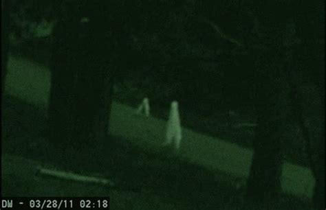 17 Kooky And Spooky Trail Cam Photos