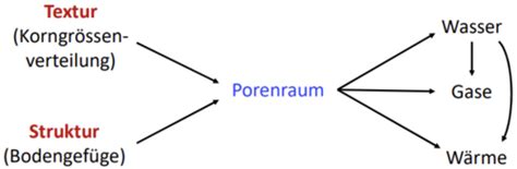 Pedosph Re Einfluss Von Textur Struktur Auf Wasser Luft Und