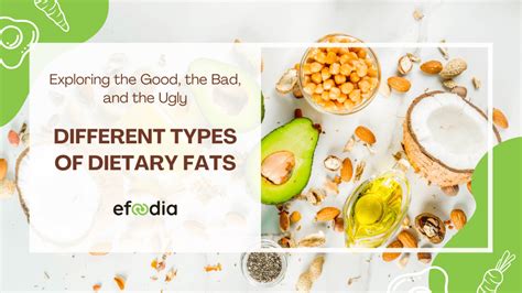 Different Types of Dietary Fats: Exploring the Good, the Bad, and the Ugly - Efoodia Blogs