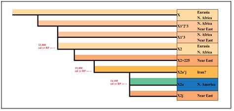 Haplogroup-X2a - Archaeology Review