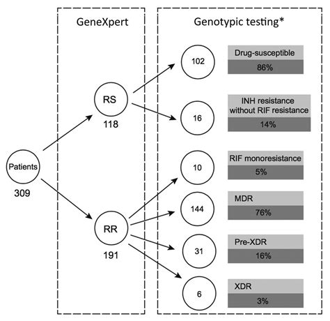 Figure 1 Genomic Profiling Of Mycobacterium Tuberculosis Strains