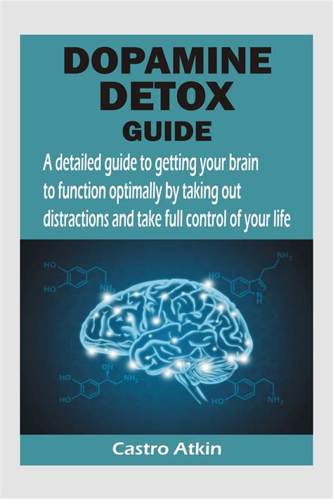 DOPAMINE DETOX GUIDE