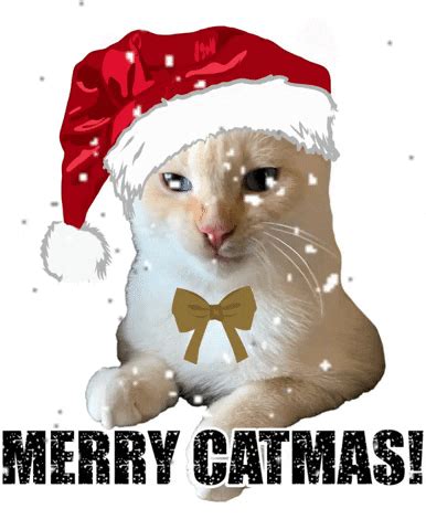 Merry Christmas Cat Gif