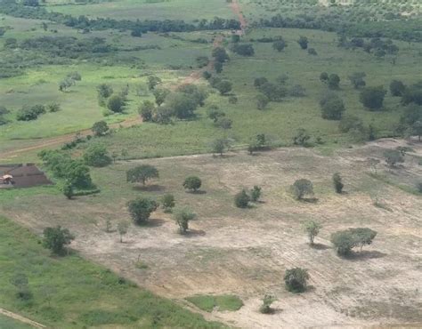 Mega fazenda está sendo vendida por R 1 bilhão fotos CompreRural