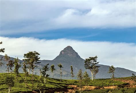 Climb Adam S Peak Sri Lanka S Sacred Pilgrimage Travelright