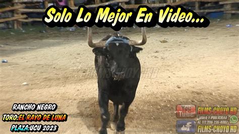 TORO EL RAYO DE LUNA DE RANCHO NEGRO EN UCU YUCATAN 2023 DANDO EMOCION