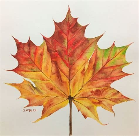 Autumn Leaf Watercolour By Charlotte Ambler Artfinder Watercolor