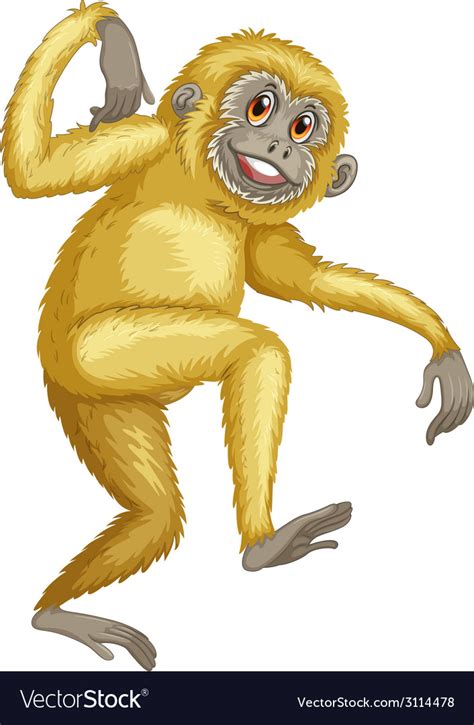 Gibbon Royalty Free Vector Image Vectorstock