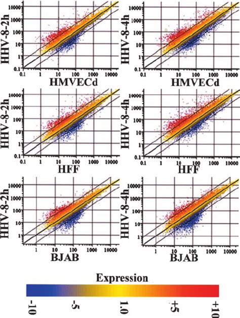 Validity Of Human Herpesvirus 8 Hhv 8 Induced Host Cell Gene