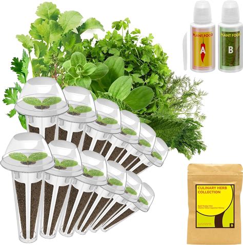 Amazon Inbloom Herb Seed Starter Pod Kit Plant For Hydroponics