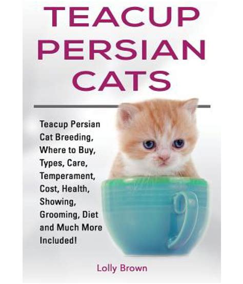 Teacup Persian Cats: Buy Teacup Persian Cats Online at Low Price in ...