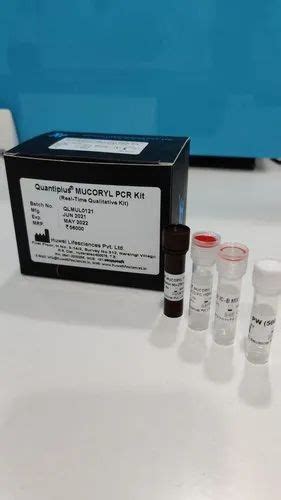 RT PCR Test Kit PCR Kit Latest Price Manufacturers Suppliers