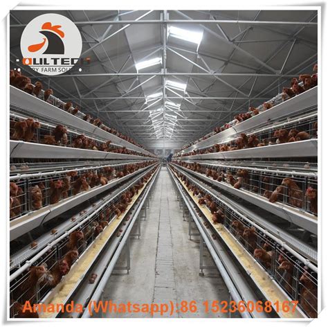 Layer Farming Use Battery Poultry Cages Rearing 20000 Birds In House Pt Ala5 Poul Tech