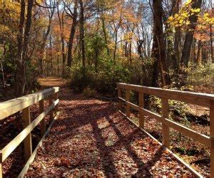 Nature Walks on Long Island to View Fall Foliage - Mommy Poppins