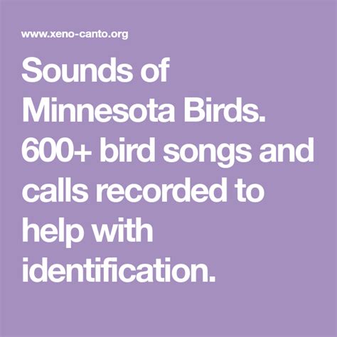 Sounds of Minnesota Birds. 600+ bird songs and calls recorded to help with identification ...