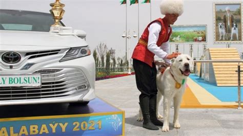 Turkmenistan Celebrates New Holiday To Honour Native Dog Breed Bbc News