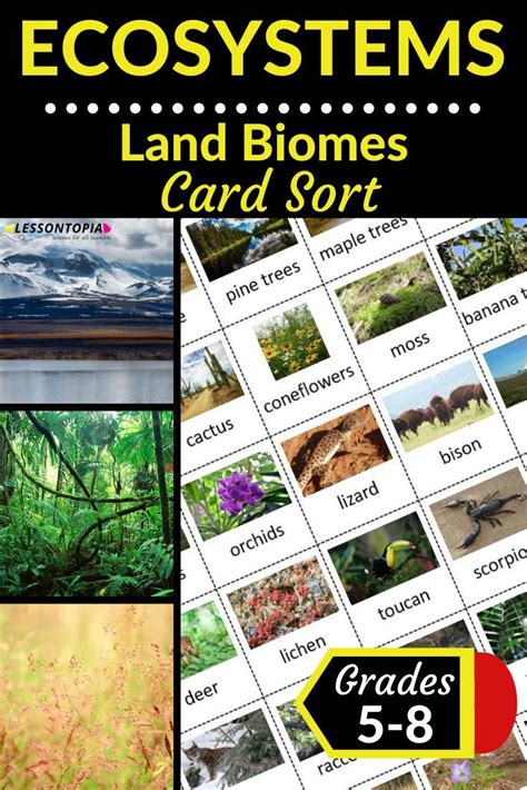 Looking For A Quick Low Prep Activity To Teach Land Biomes This Card