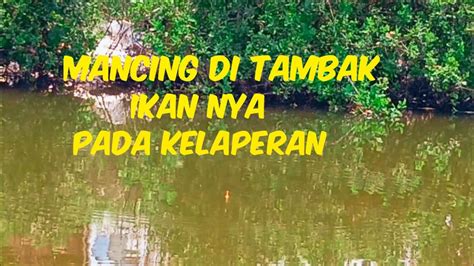 MANCING DI TAMBAK BARENG BAIM LESMANA CHANNEL YouTube