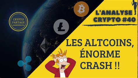 Les Altcoins Crash La Faute À Quoi À Qui Analyse Bitcoin Link