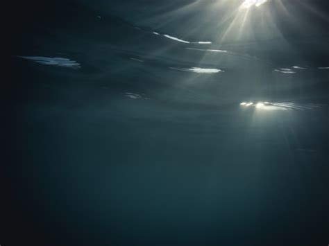 Premium Photo Underwater Rays