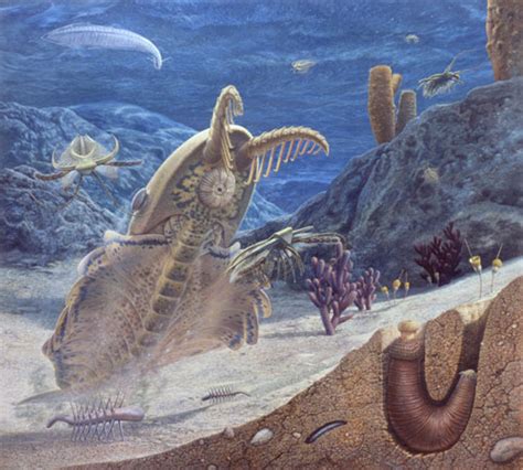 Ordovician–Silurian extinction events ~ Detailed Information | Photos ...