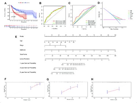 A Survival Analysis Of Overall Survival Rate Of High And Low Risk