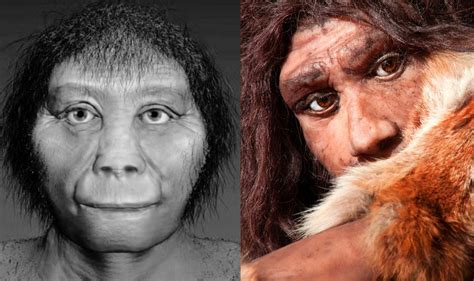 The Unlikely Rise Of Homo Sapiens A Journey Through Time