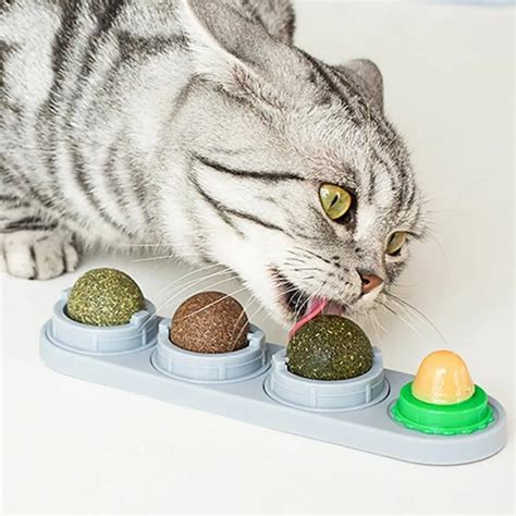 Pet Cat Catnip Wall Ball Cat Toy Catnip Balls Snack Healthy Rotatable