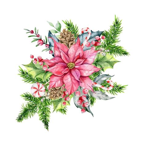 Premium Vector Christmas Watercolor Illustration Winter Floral