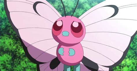 The 50+ Best Insect Pokémon, Ranked By Gamers