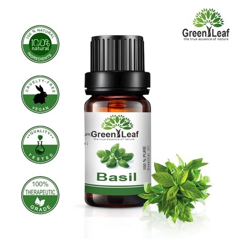 Basil Essential Oil