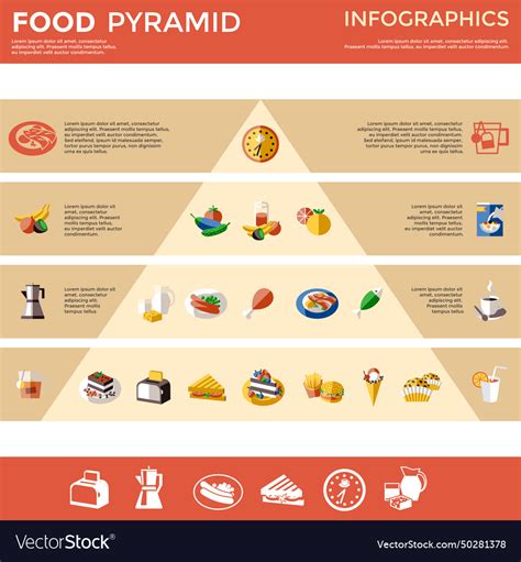 Food Pyramid Infographic Royalty Free Vector Image