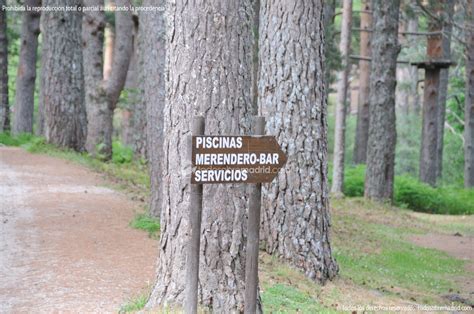 Zona Recreativa Las Dehesas De Cercedilla Todosobremadrid