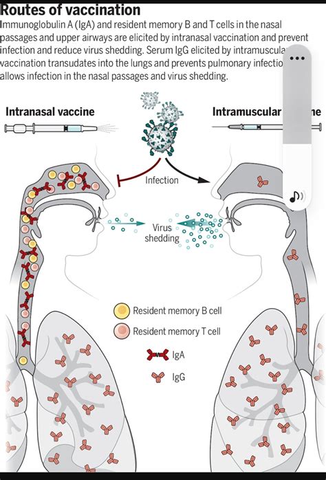 Dr Antonio Gutiérrez on Twitter Its time to nasal vaccines