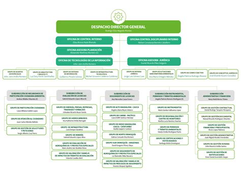 Organigrama Funciones Cargos Y Perfiles De Los Directivos