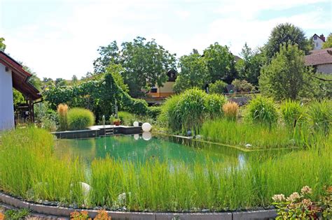 Teich Und Naturpool Der Gartenbaumeister Meisterbetrieb F R