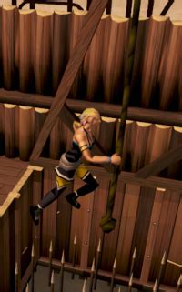 Burthorpe Agility Course - The RuneScape Wiki