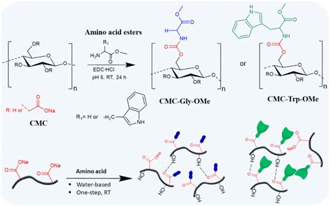 Reaction Scheme Of The Conjugation Of Cmc With Amino Acid Esters Via