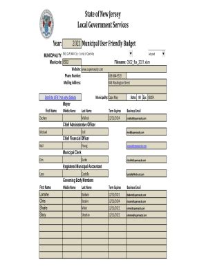 Fillable Online Local Government Services State Of New City Of