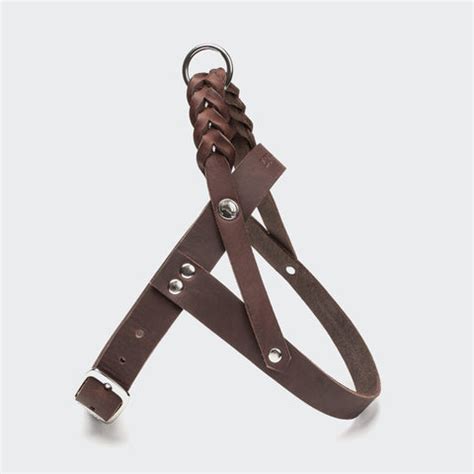 CLOUD7 Dog Harness Central Park – MikeNeko Pet