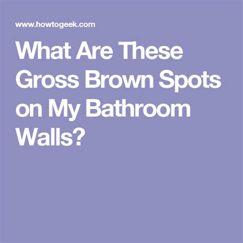 What Are These Gross Brown Spots On My Bathroom Walls Brown Spots Bathroom Wall Spot On