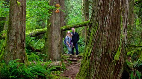 Explore Wellness In The Harrison River Valley Wellness Travel Bc